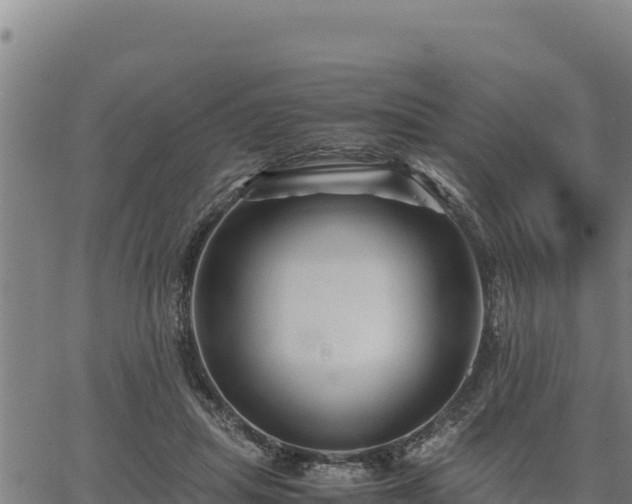 X0000067000455200603311618