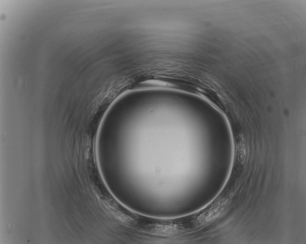 X0000067000458200603311618