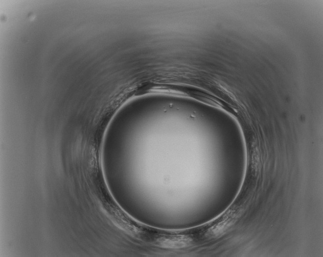 X0000067000459200603311618