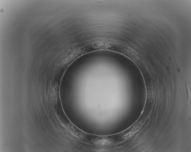 X0000067000460200603311618