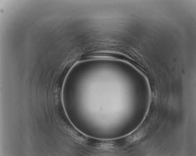 X0000067000462200603311619