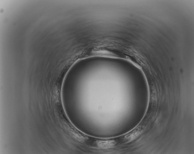 X0000067000465200603311619