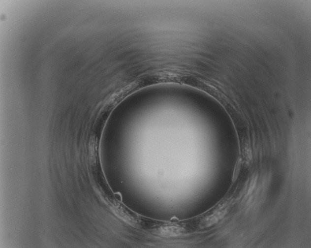 X0000067000468200603311619