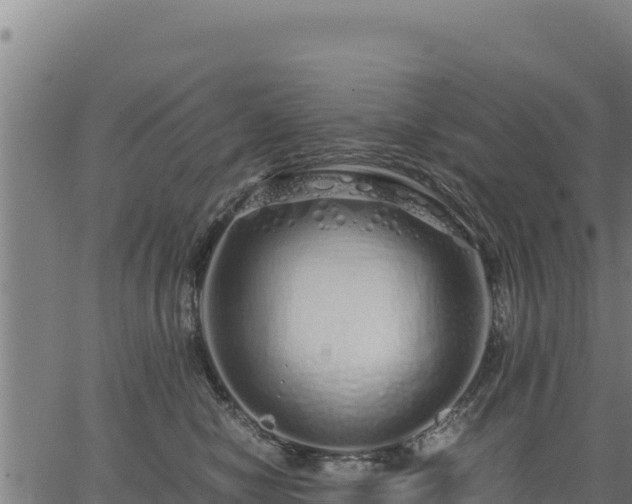 X0000067000470200603311619