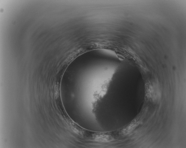 X0000067000471200603311619