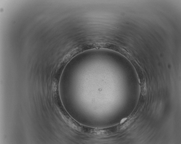 X0000067000472200603311619