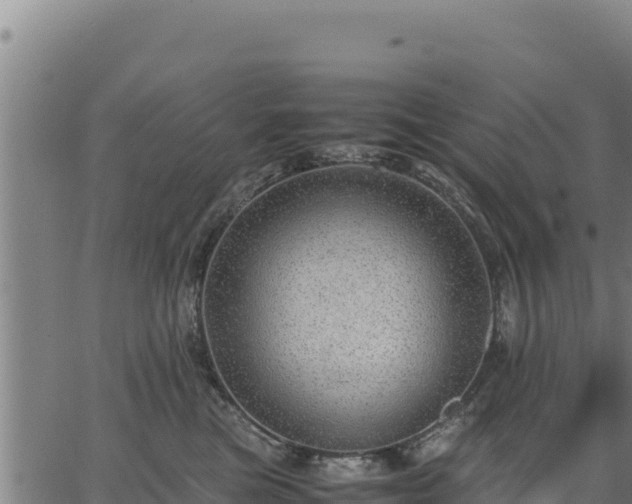 X0000067000473200603311619