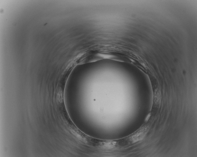 X0000067000474200603311619