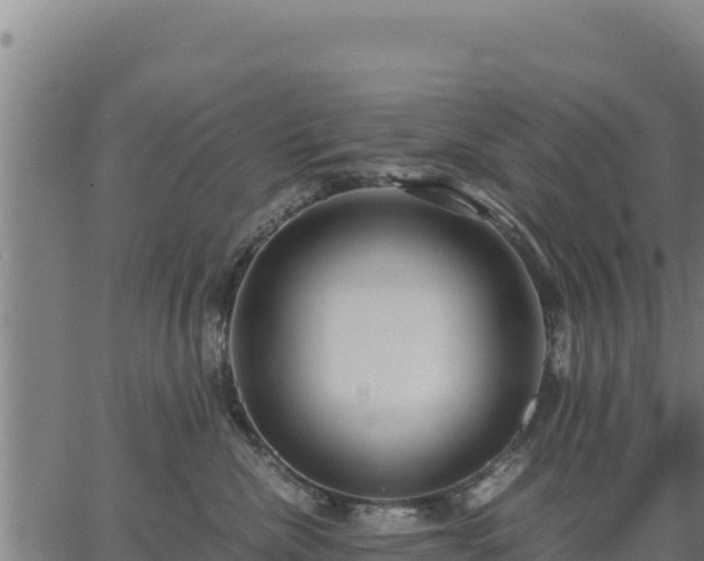 X0000067000476200603311619