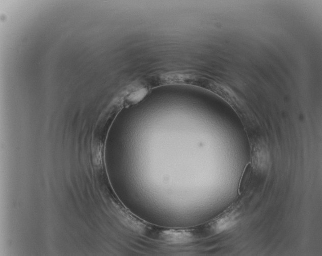 X0000067000477200603311619