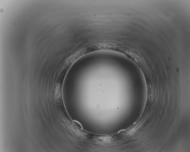 X0000067000478200603311619