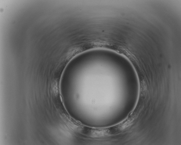 X0000067000479200603311619