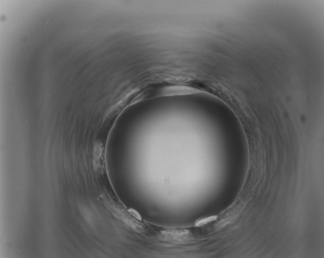 X0000067000480200603311619