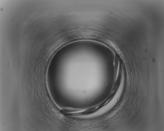 X0000067000481200603311618