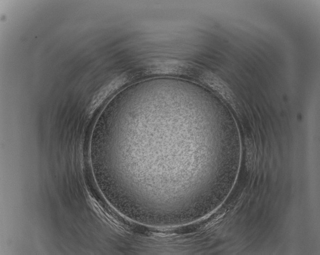 X0000067000482200603311618