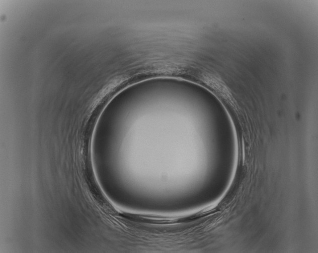 X0000067000483200603311618