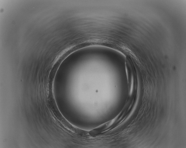 X0000067000484200603311618