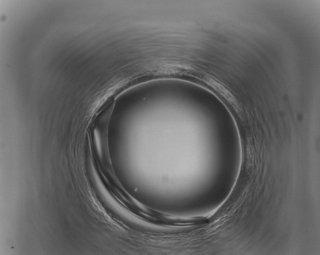 X0000067000485200603311618