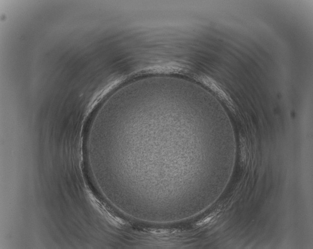 X0000067000486200603311618