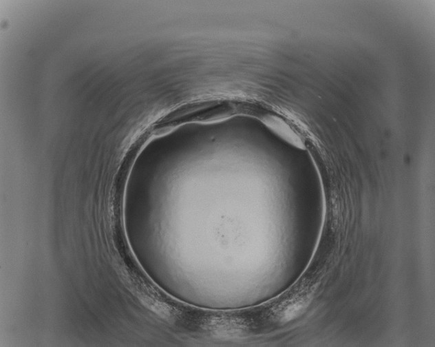 X0000067000487200603311618