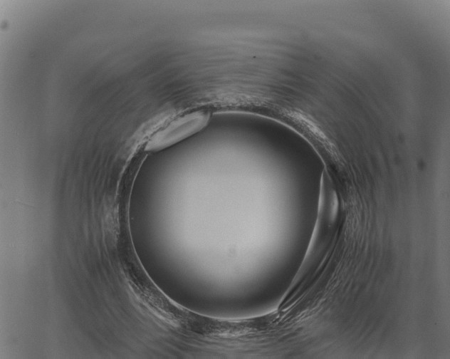 X0000067000488200603311618