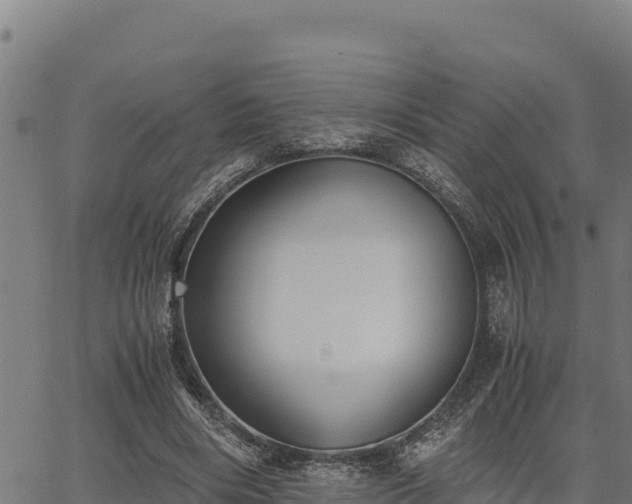 X0000067000490200603311618