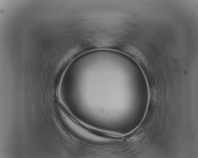 X0000067000491200603311618