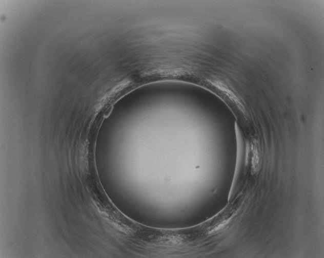 X0000067000492200603311618