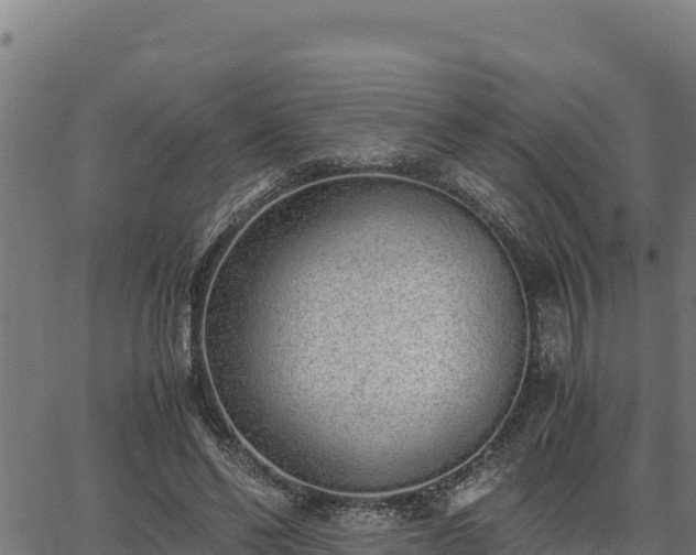 X0000067000494200603311618