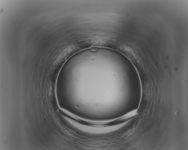 X0000067000495200603311618