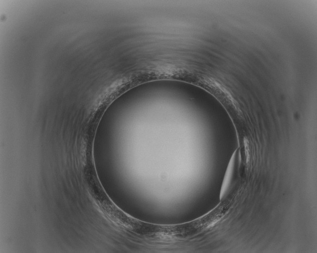 X0000067000496200603311618