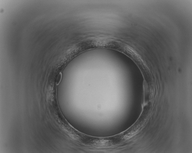 X0000067000497200603311618