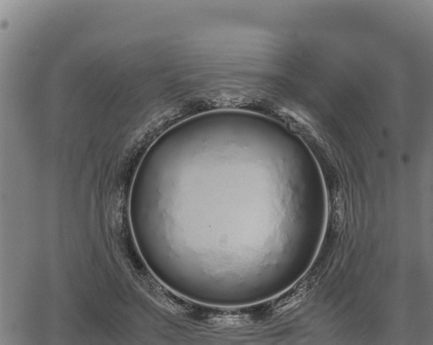 X0000067000499200603311618