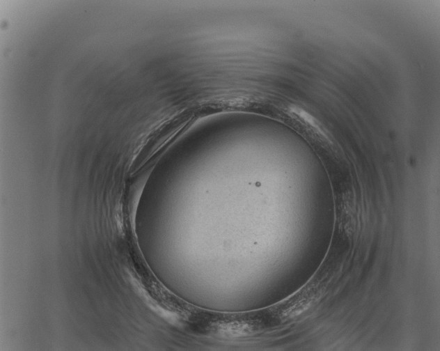 X0000067000500200603311618