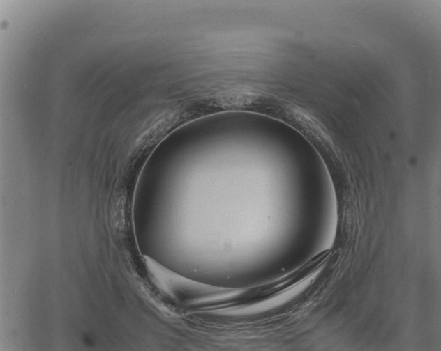 X0000067000501200603311618