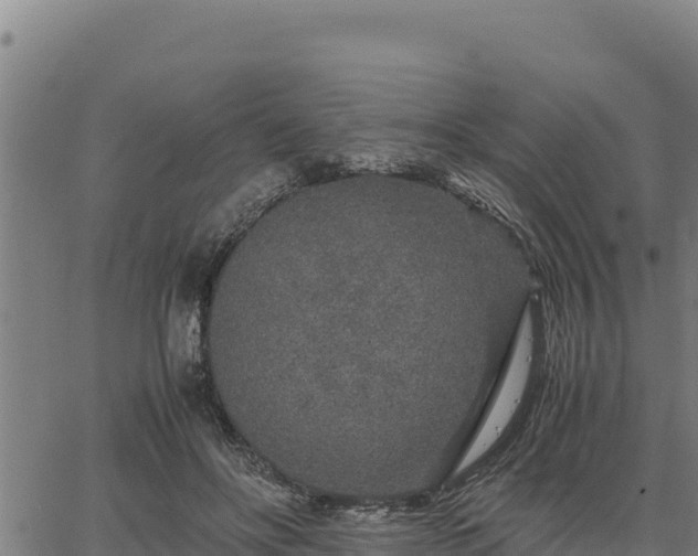 X0000067000502200603311618