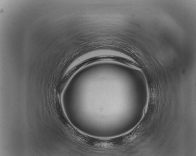 X0000067000503200603311618