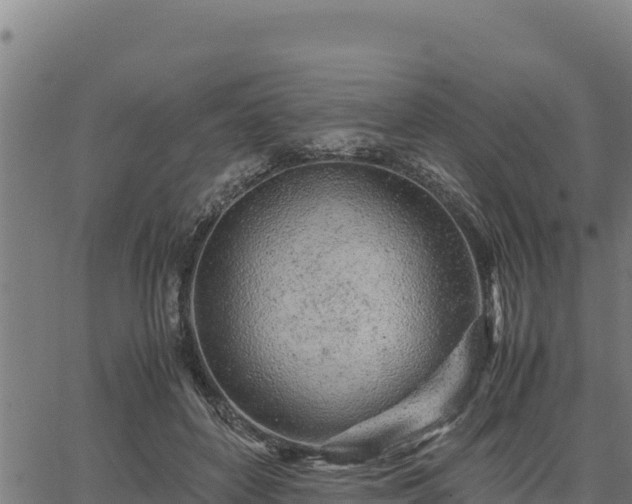 X0000067000504200603311618