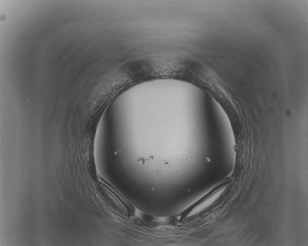 X0000067000505200603311618