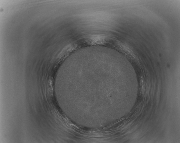 X0000067000506200603311618