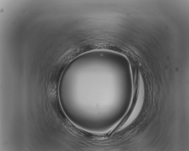 X0000067000507200603311618