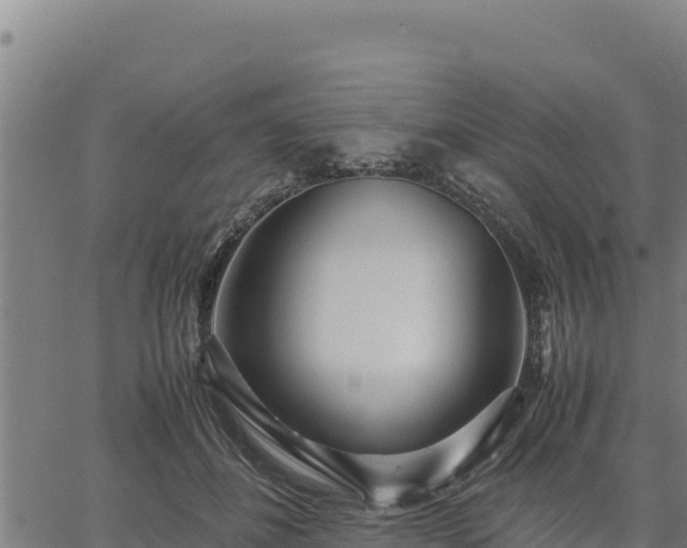 X0000067000508200603311618