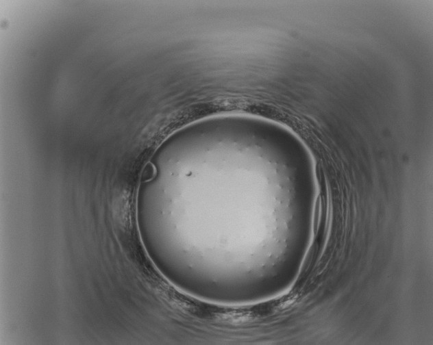 X0000067000511200603311618