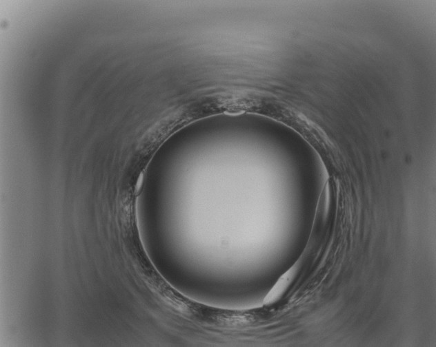 X0000067000513200603311618