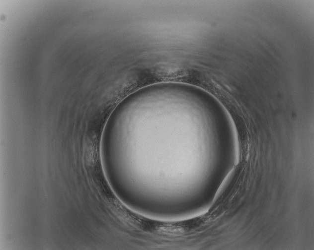 X0000067000515200603311617