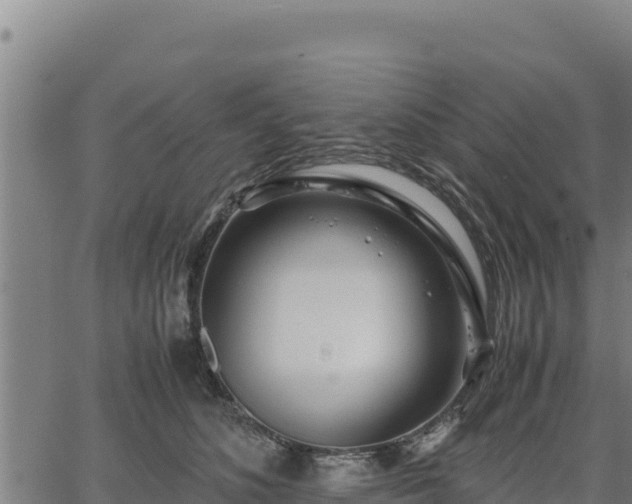 X0000067000516200603311617