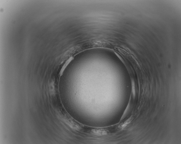 X0000067000520200603311617