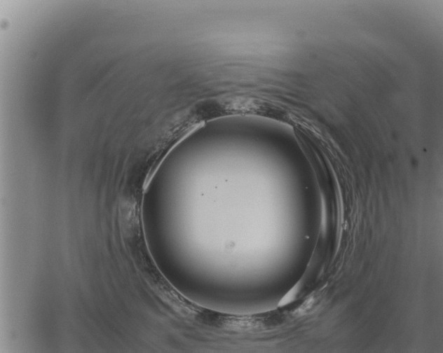 X0000067000521200603311617