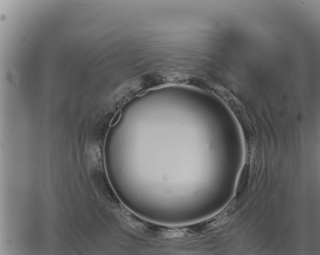 X0000067000523200603311617