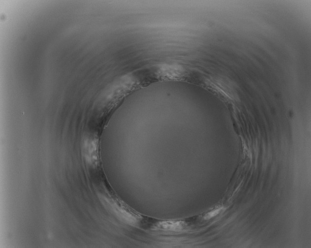 X0000067000526200603311617